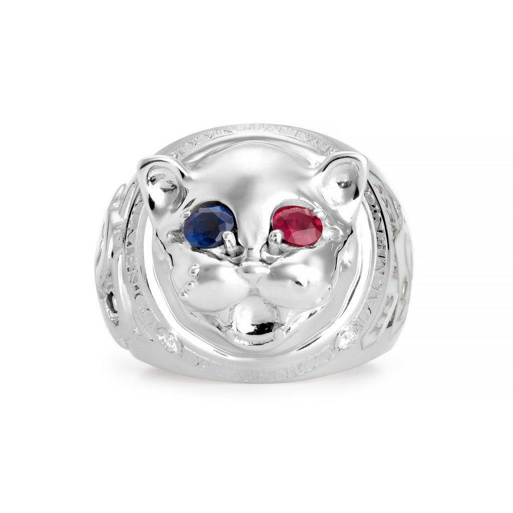 3D LAUGHING CAT
